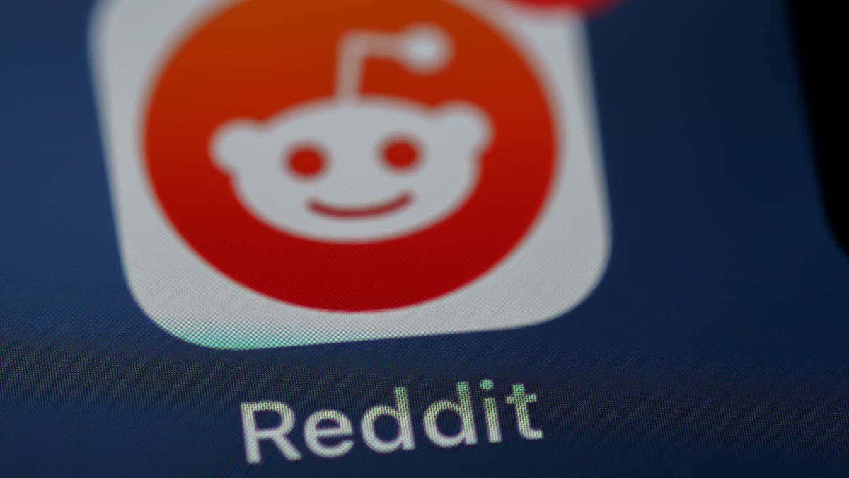 Che succede con Reddit e cosa c'entra Le Alternative?